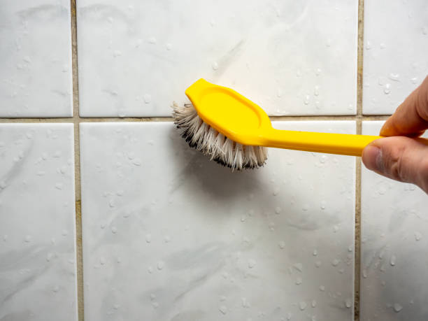 Best Best Mold Removal Companies  in Hallstead, PA