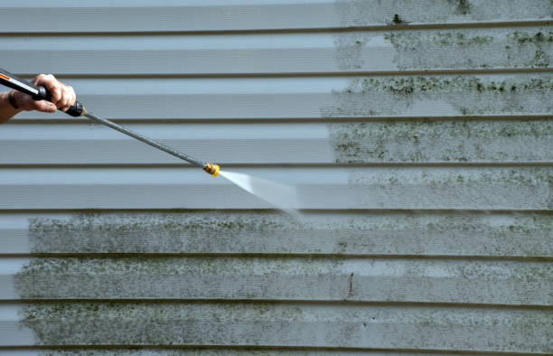 Best Attic Mold Removal  in Hallstead, PA