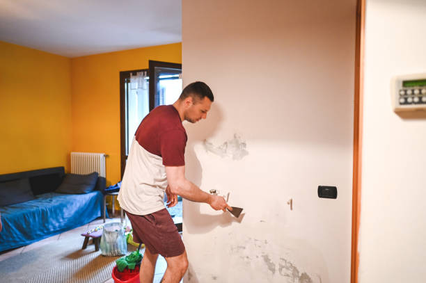 Best Mold Removal Near Me  in Hallstead, PA